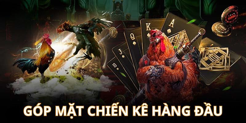 Đá gà tại WS168 là sân chơi có sự góp mặt của nhiều chiến kê độc lạ